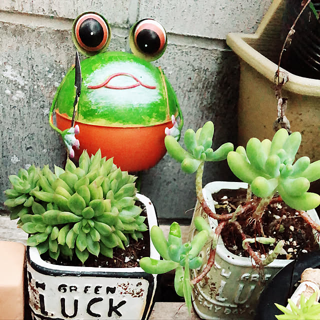 seiさんの実例写真
