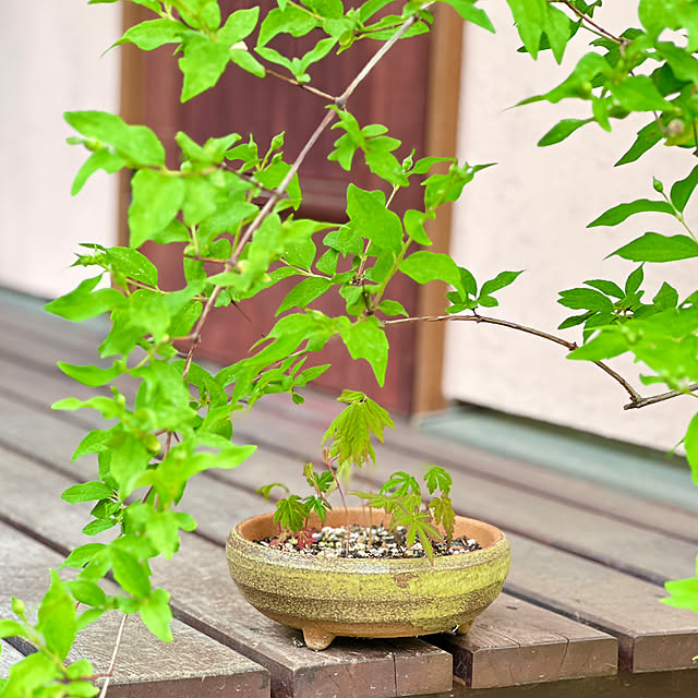 Kikko.さんの部屋