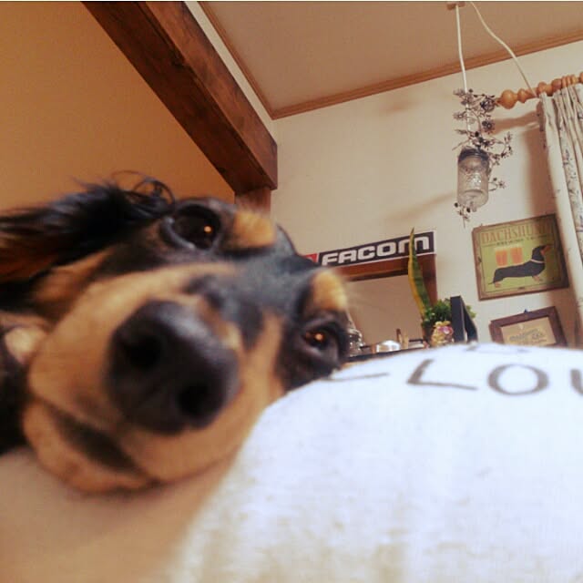 minaさんの実例写真