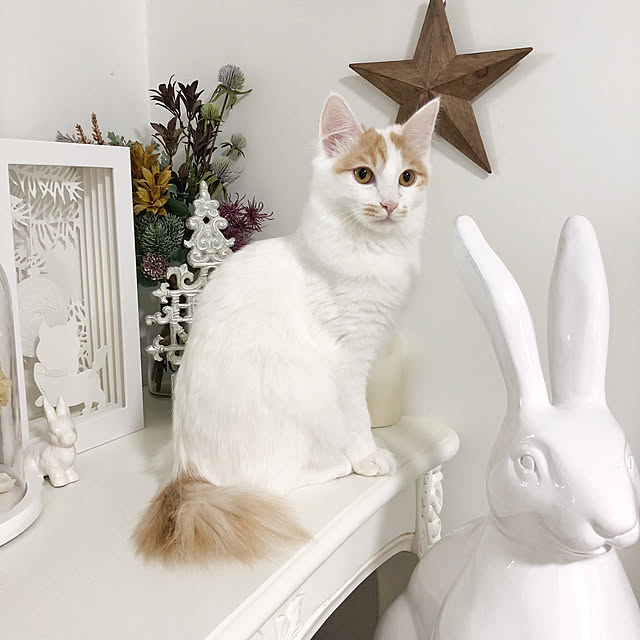 yuchiさんの実例写真