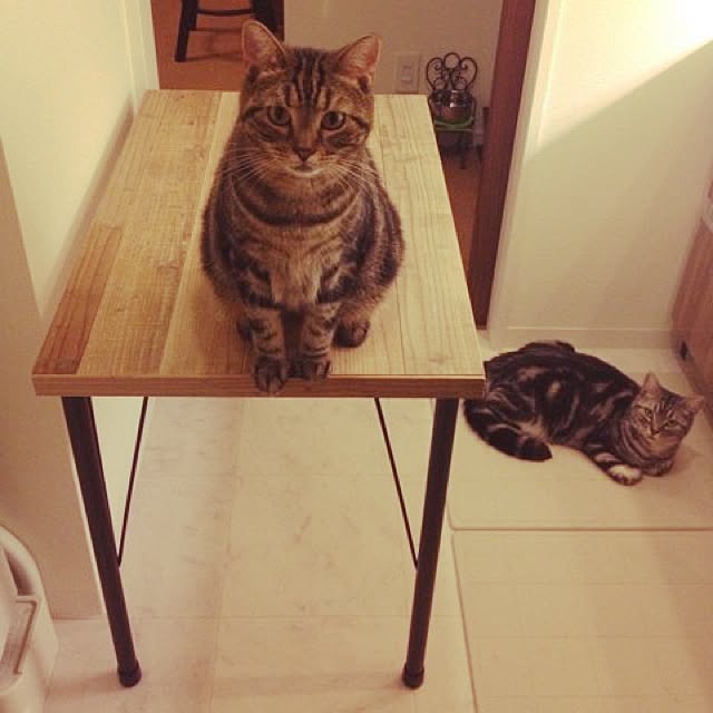 mikomaruさんの実例写真