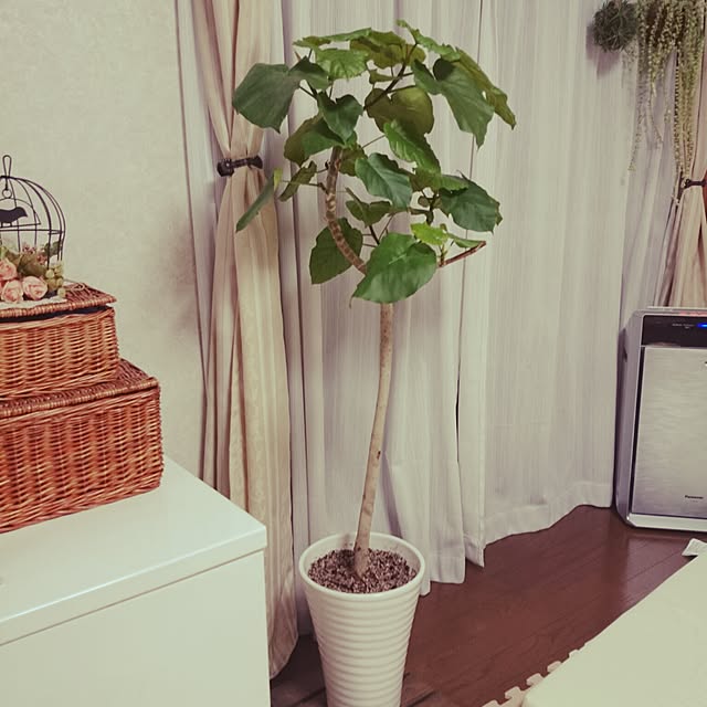 chicchiさんの実例写真