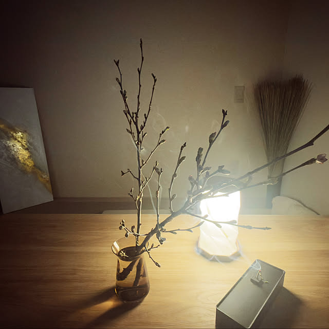 piroaiさんの部屋