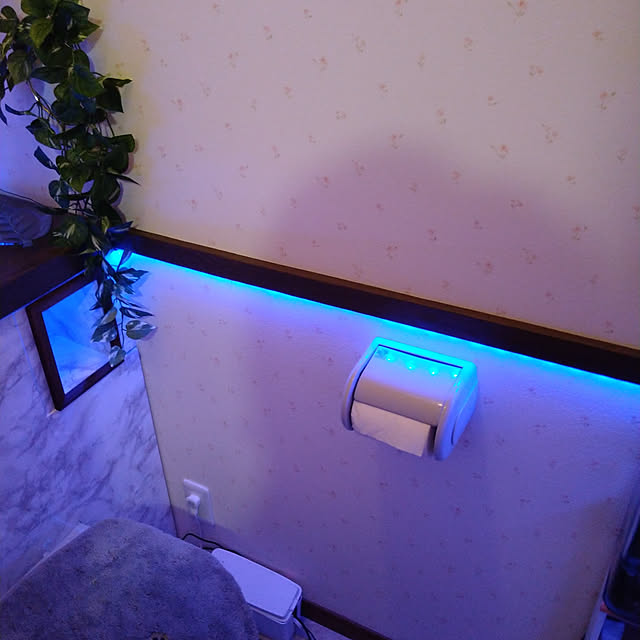 kzx1m2cr4tw7dvj3vxk3さんの実例写真