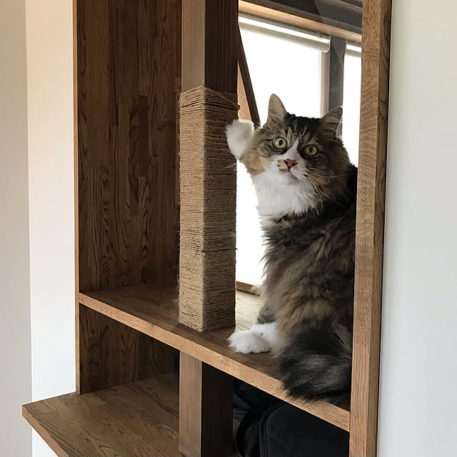 micさんの実例写真