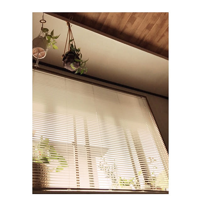 miiksさんの実例写真