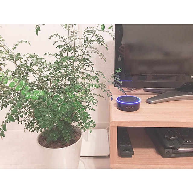 Mahoさんの実例写真