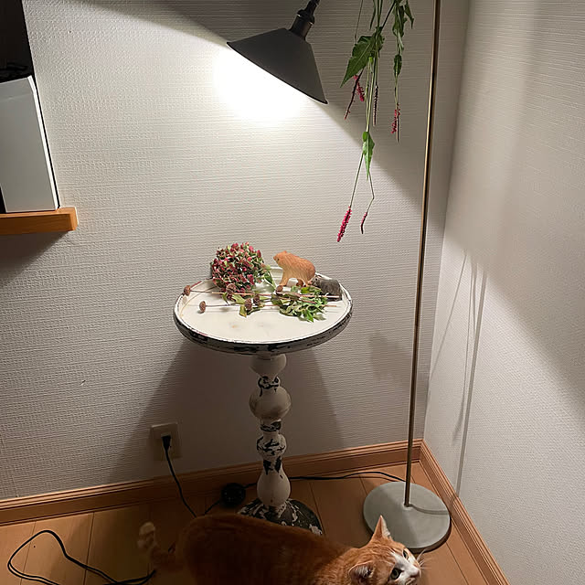 suyaさんの実例写真