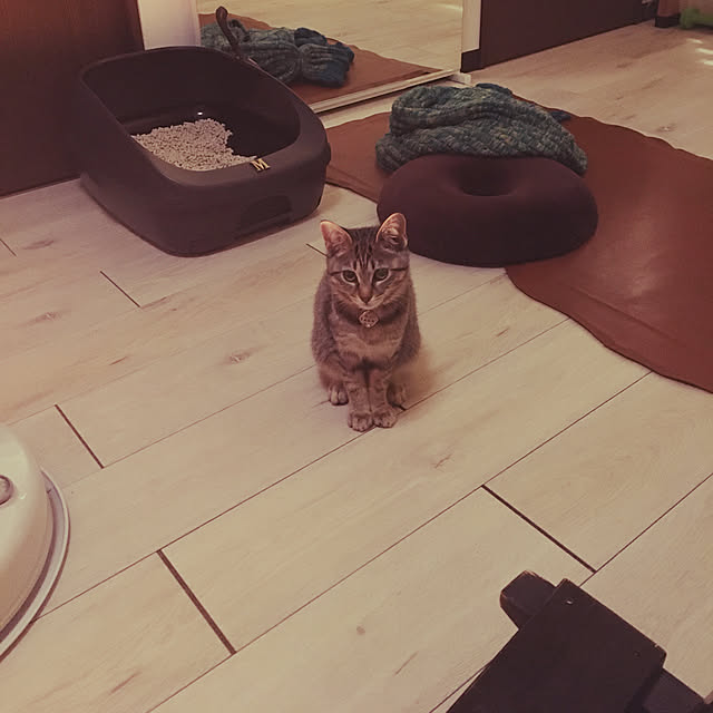 Mさんの実例写真
