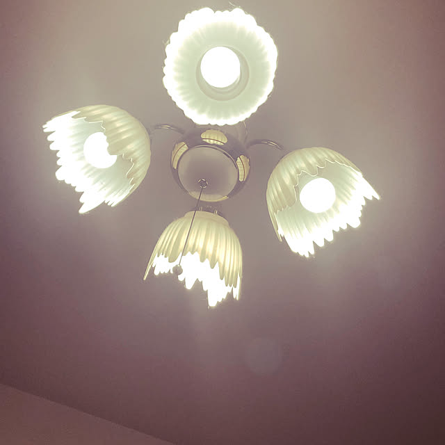 yuranrieruさんの部屋