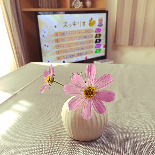 akaさんの実例写真