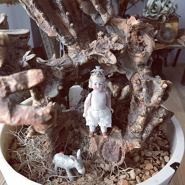 otomatuさんの実例写真