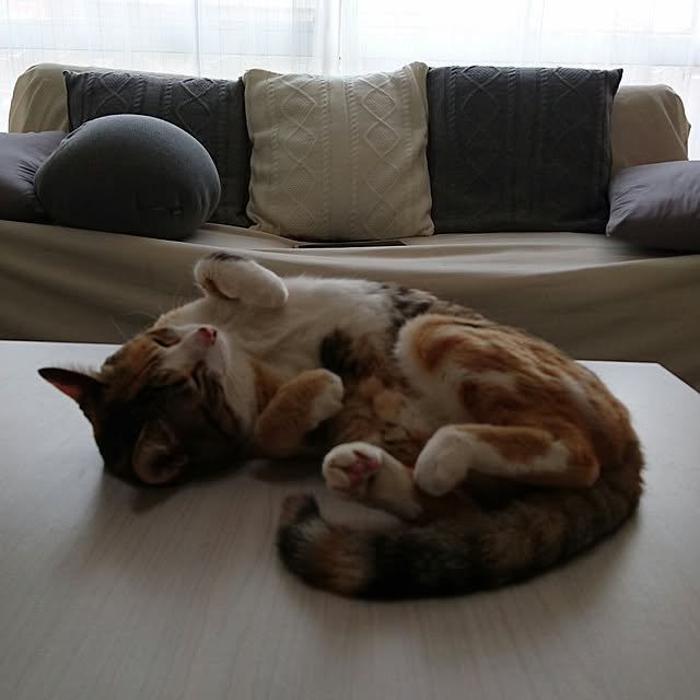 taleo07さんの実例写真