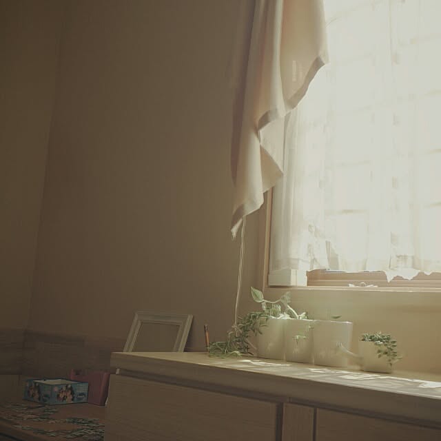 szk19さんの実例写真