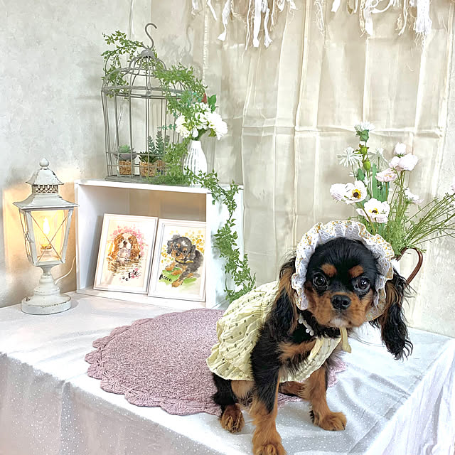 ellemaruさんの部屋