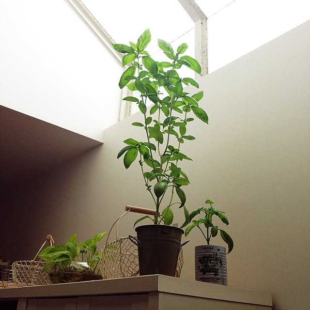 maison_blancheさんの実例写真