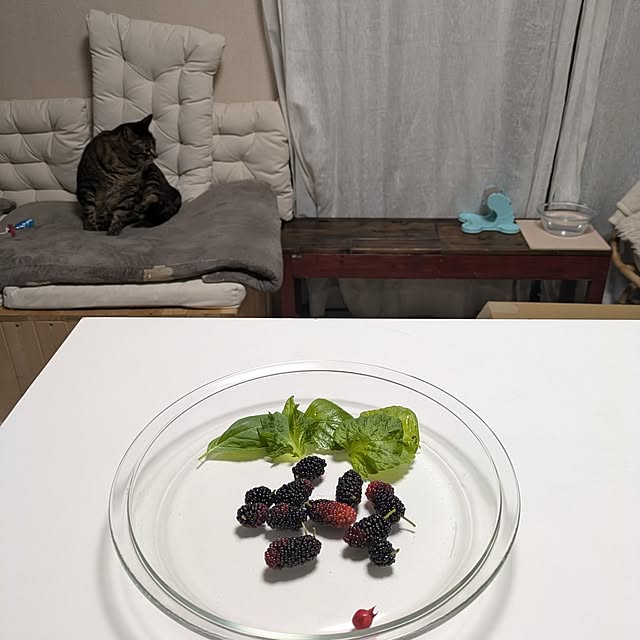 mori_6_12さんの実例写真