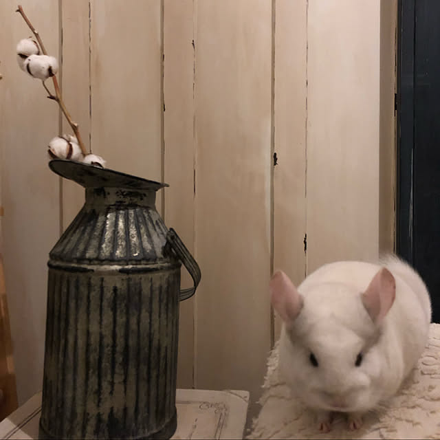 bambiさんの実例写真
