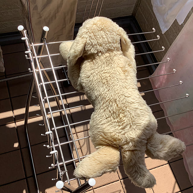 haruminさんの部屋
