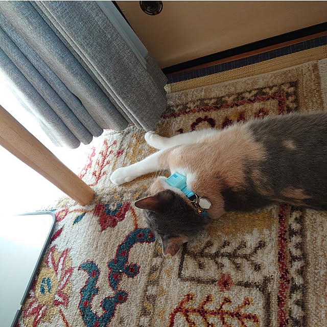 fukuさんの実例写真