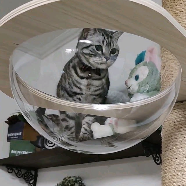 hiro3さんの実例写真