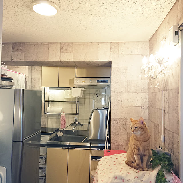 asuminさんの実例写真