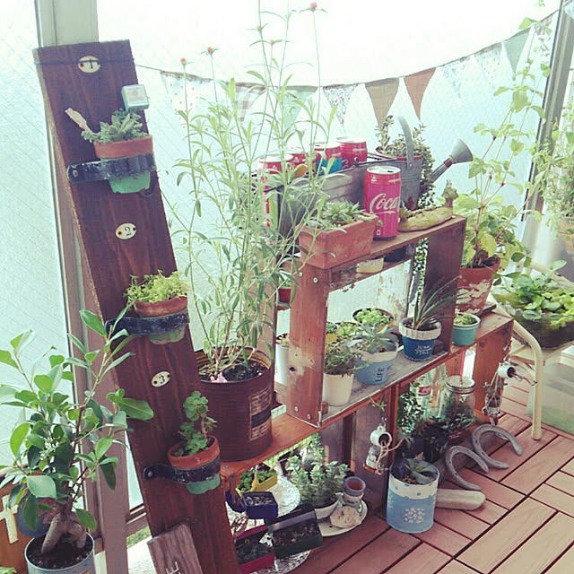 sakusakuさんの実例写真