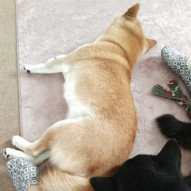 ponhanaさんの実例写真