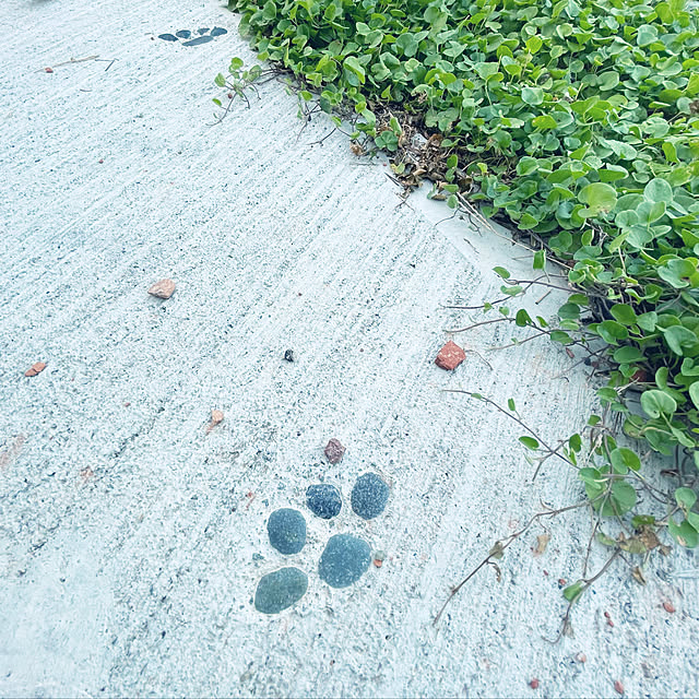 nekosamaさんの実例写真
