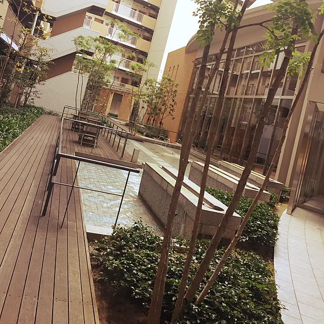 Ayanoさんの実例写真
