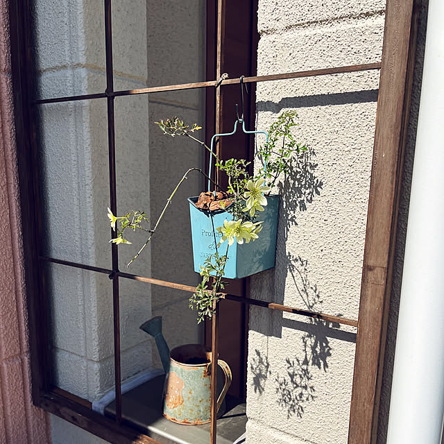 pekoさんの実例写真