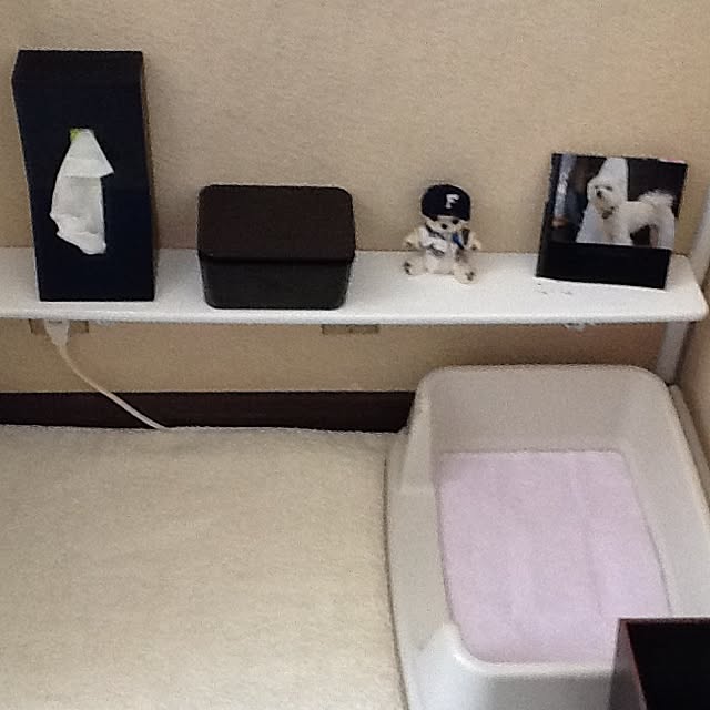 ksyanさんの実例写真