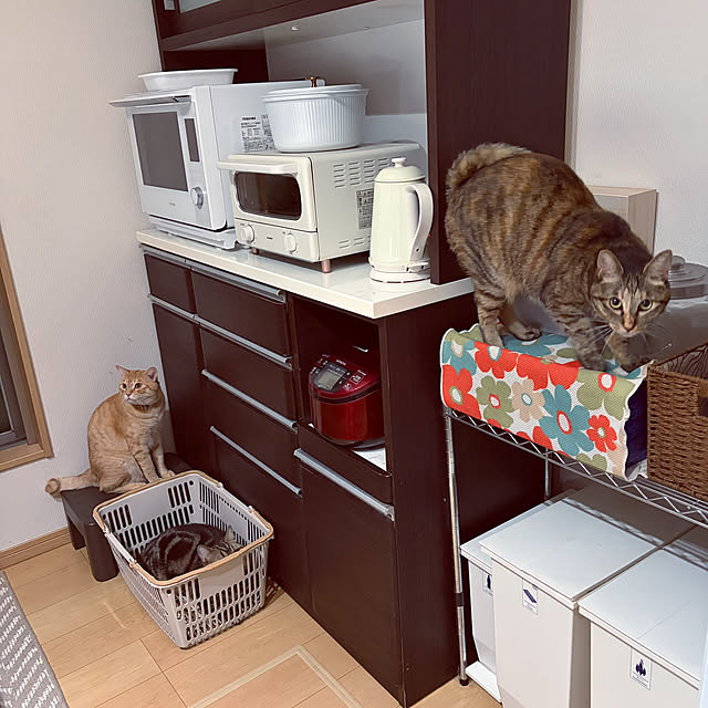 chiiさんの実例写真