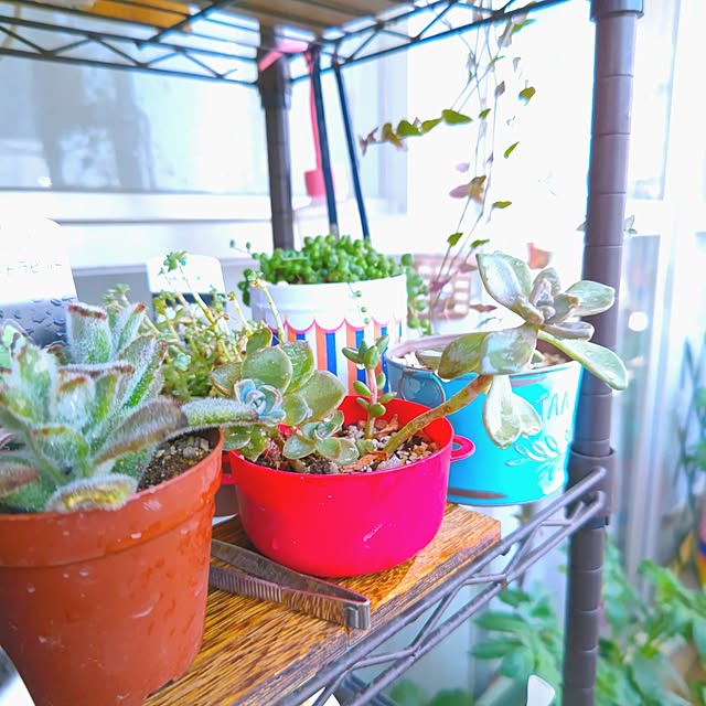 mariaさんの部屋