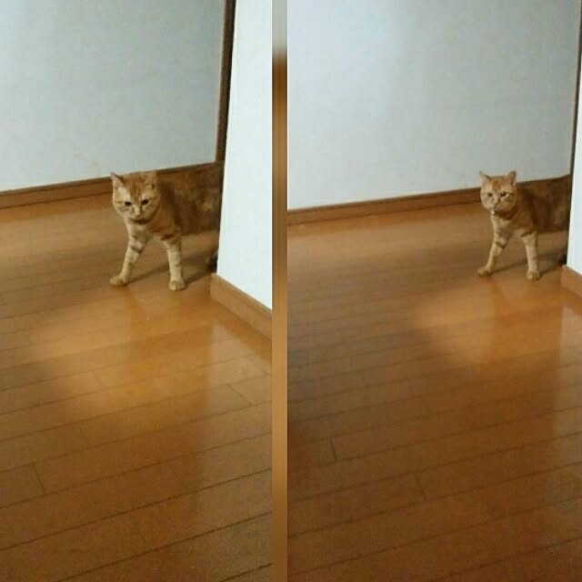 yum0408さんの実例写真