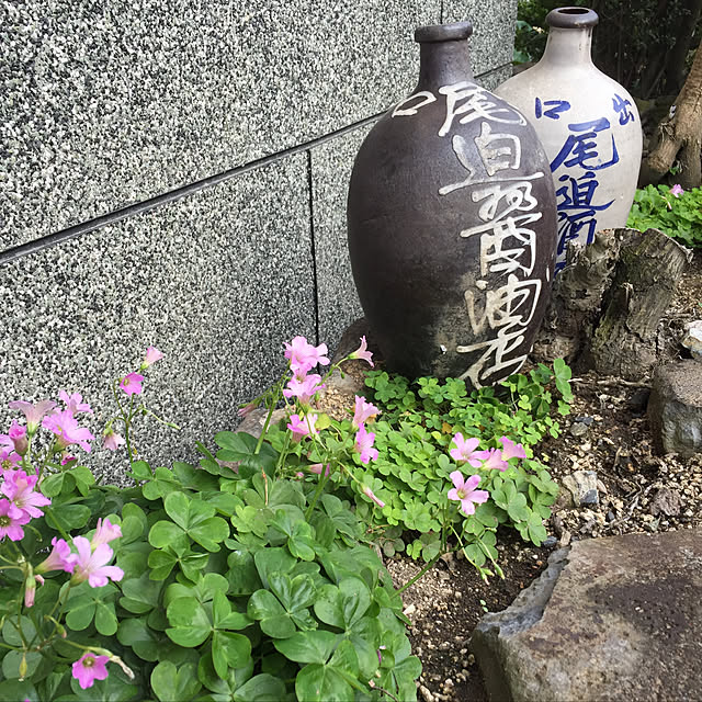 buchiさんの実例写真