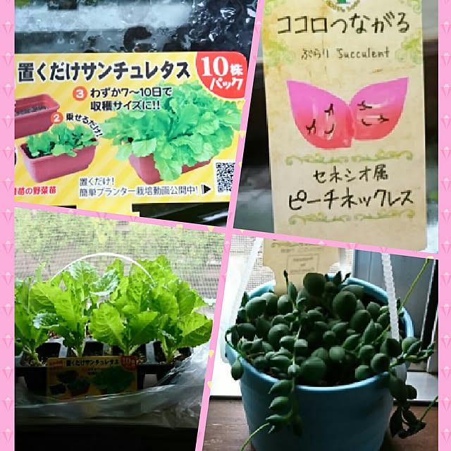 yuukyさんの実例写真