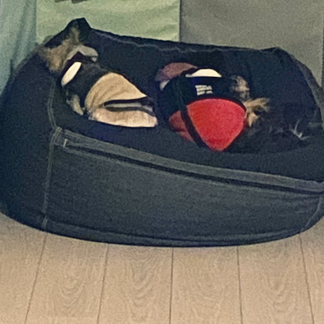 ohanaさんの実例写真