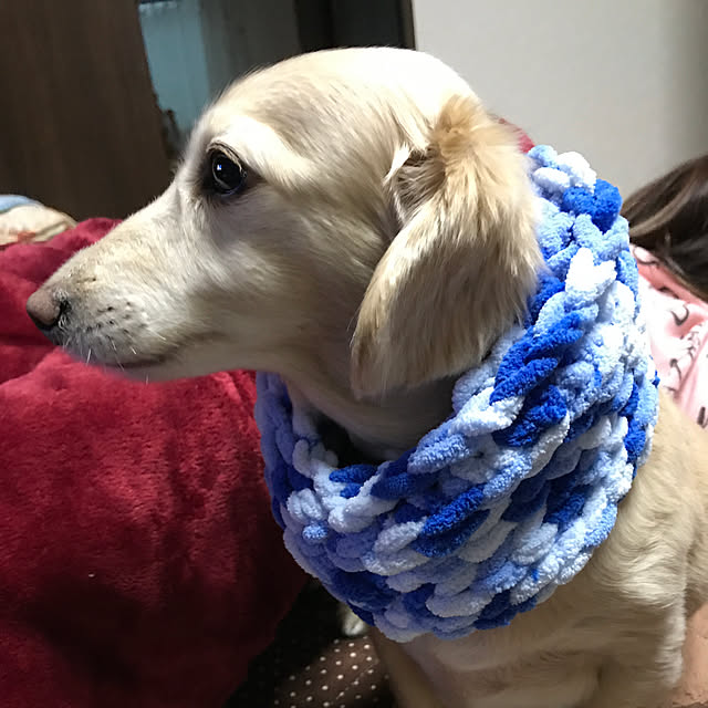 1182さんの実例写真