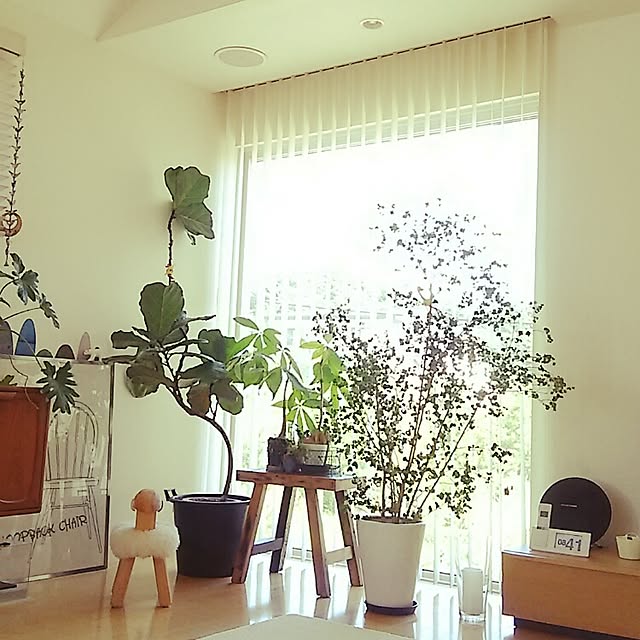 mai.123さんの実例写真