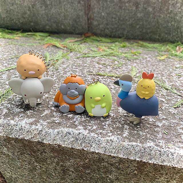 koko_hikaさんの部屋