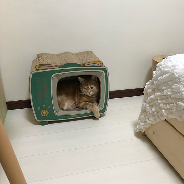 Atelier.mさんの実例写真