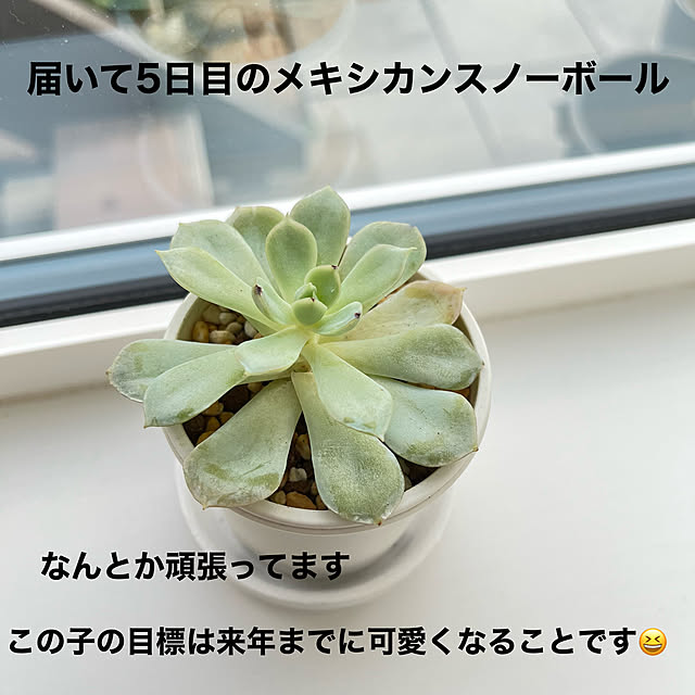 unichanさんの部屋