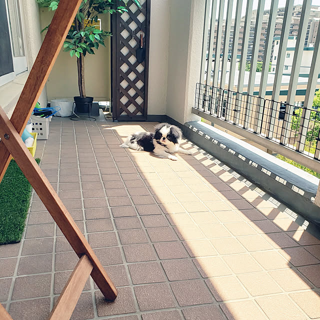 sanoaさんの実例写真
