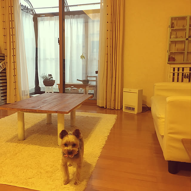 mayuoさんの実例写真
