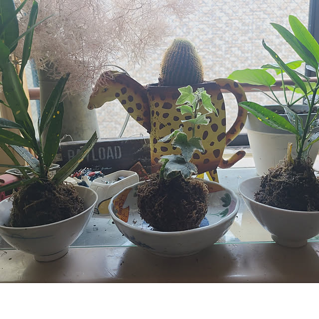 monnさんの実例写真