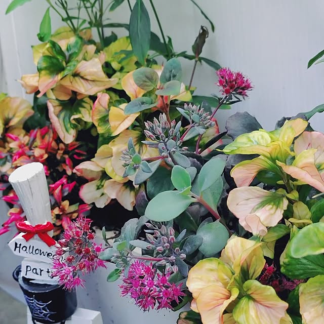 taeko0779さんの部屋