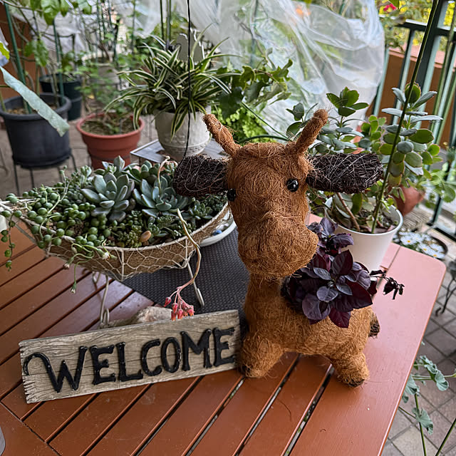 Aqettyさんの実例写真