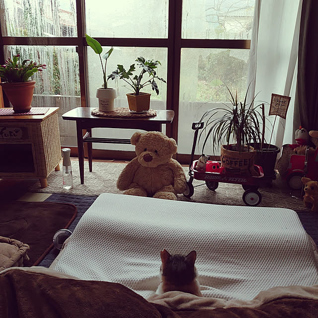 fukuさんの実例写真