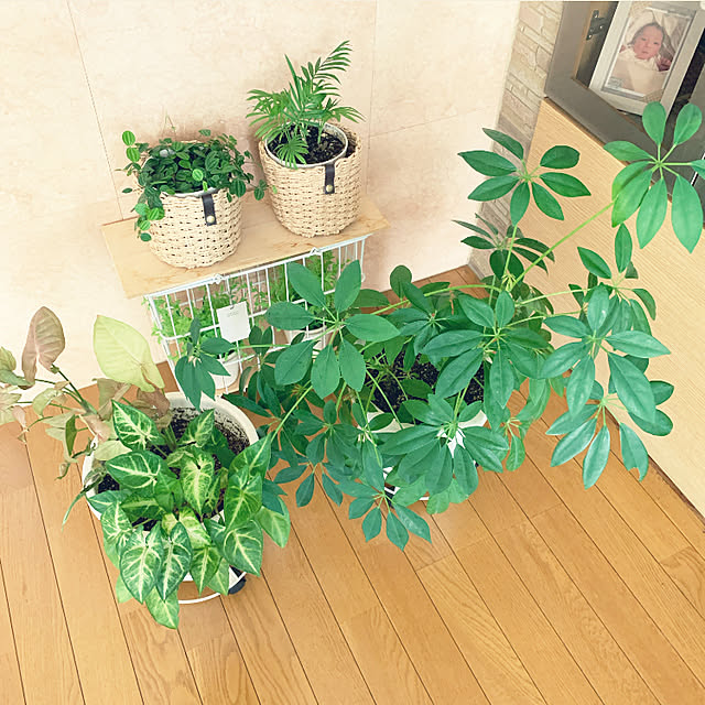 yumi.fさんの部屋